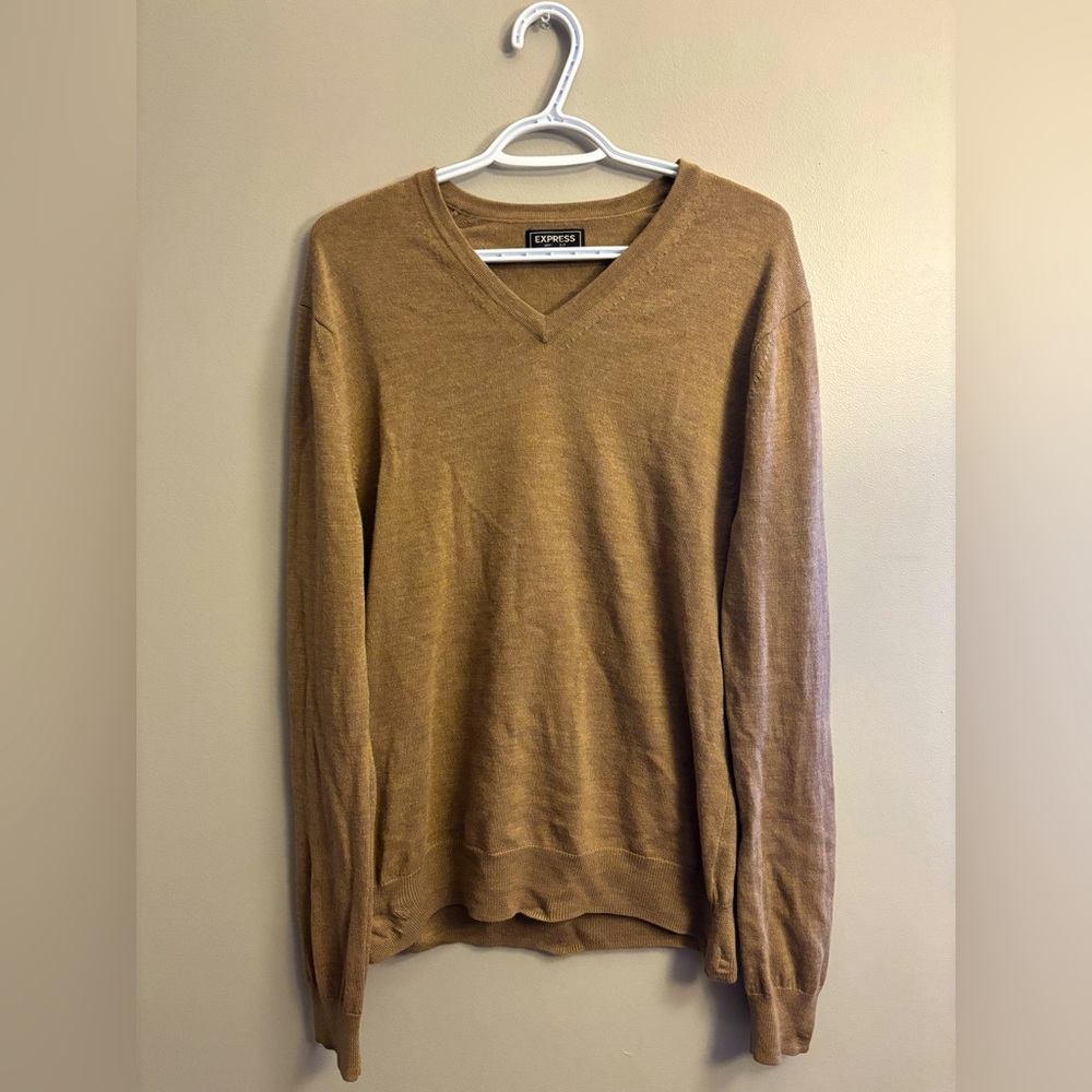 Express Extra Fine Merino Wool V-neck Sweater